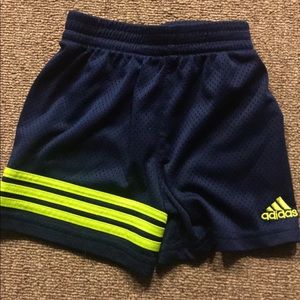 12 month Adidas shorts